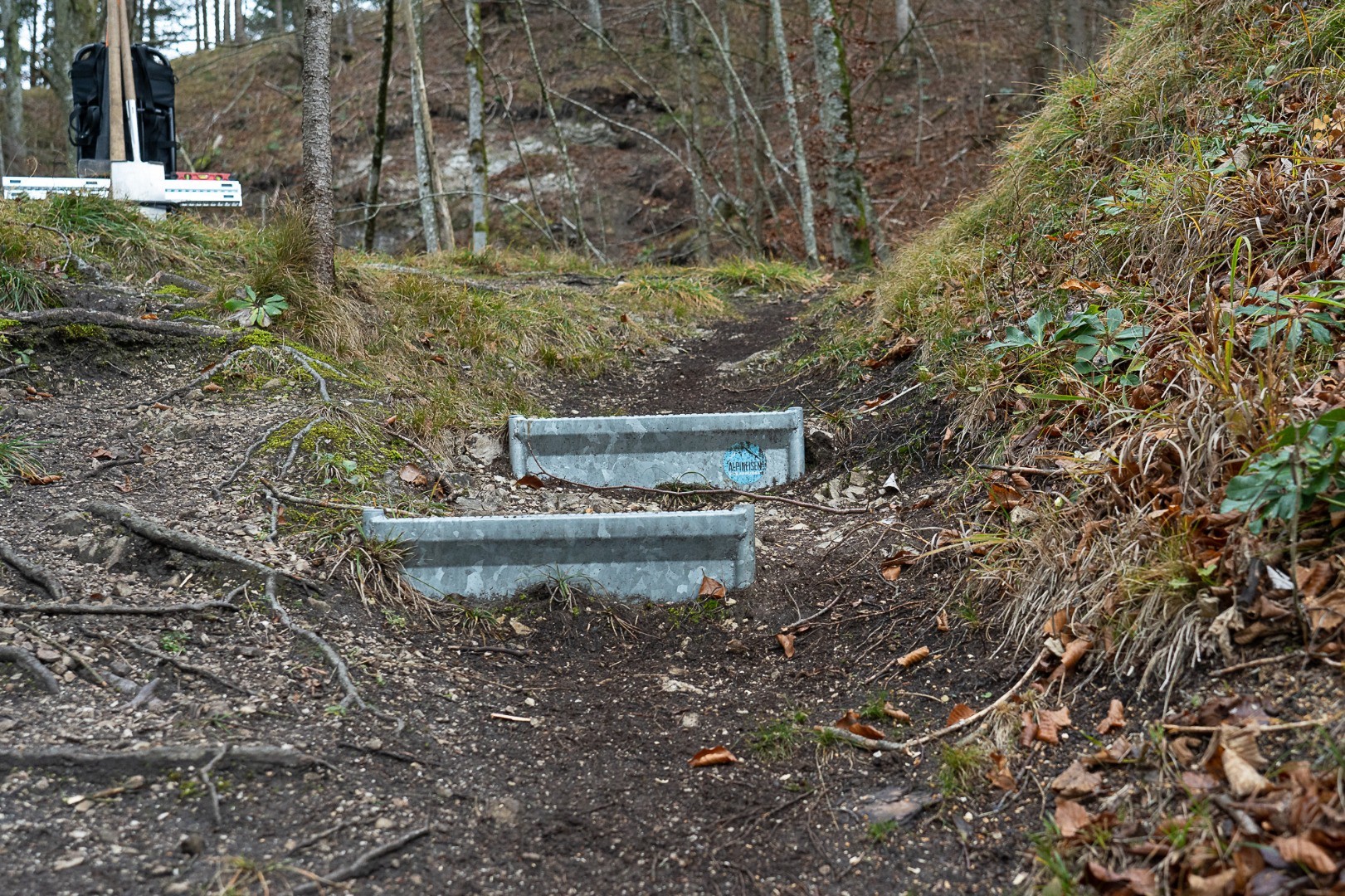 Wanderweg im Wald - Alpineisen Steinbock