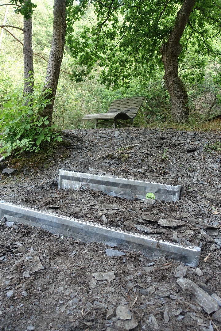 Pyrmonter Felsensteig mit Alpineisen