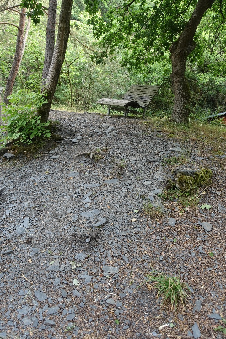 Pyrmonter Felsensteig ohne Alpineisen