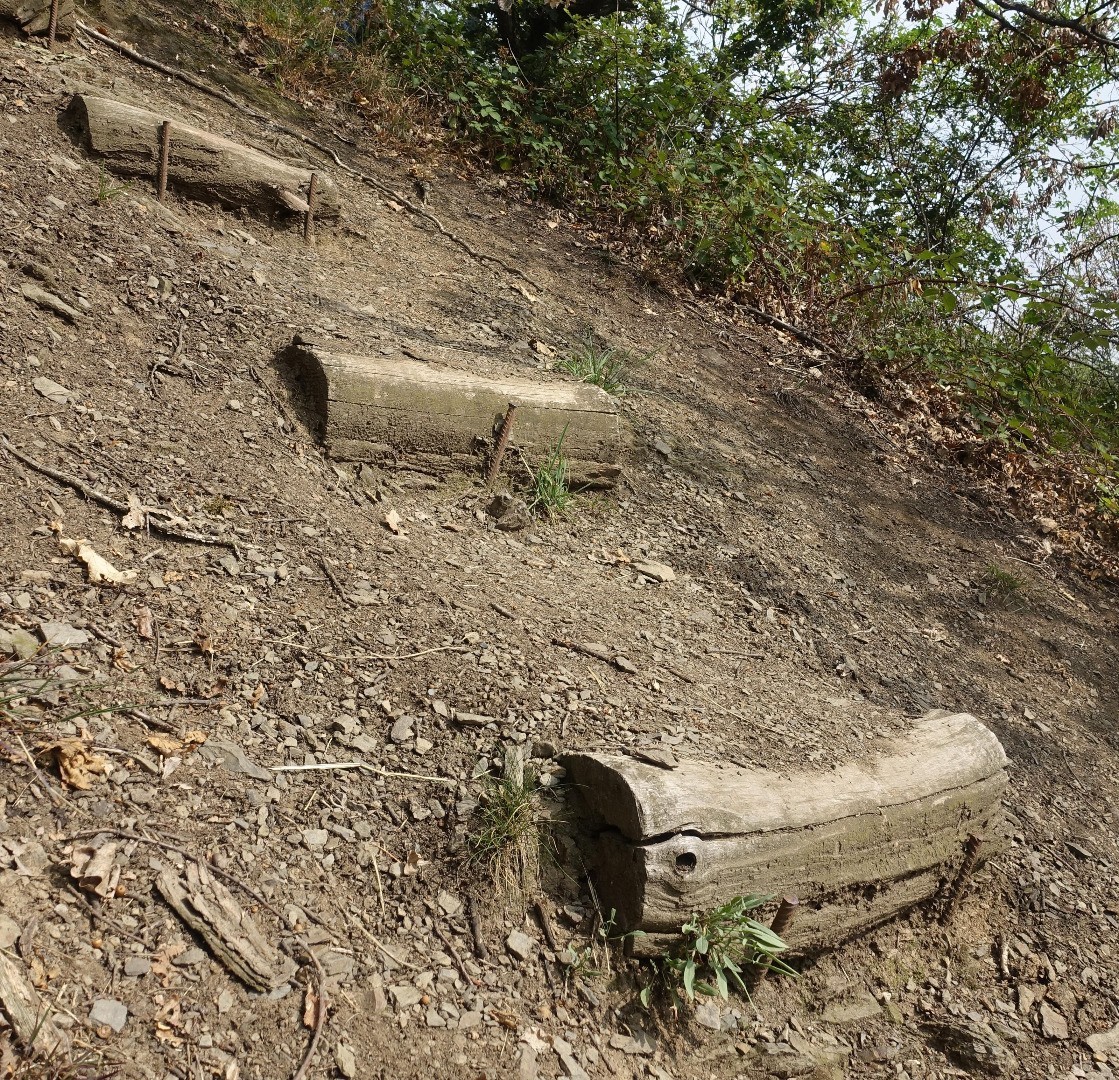 Rheinsteig - alte Stufen aus Holz