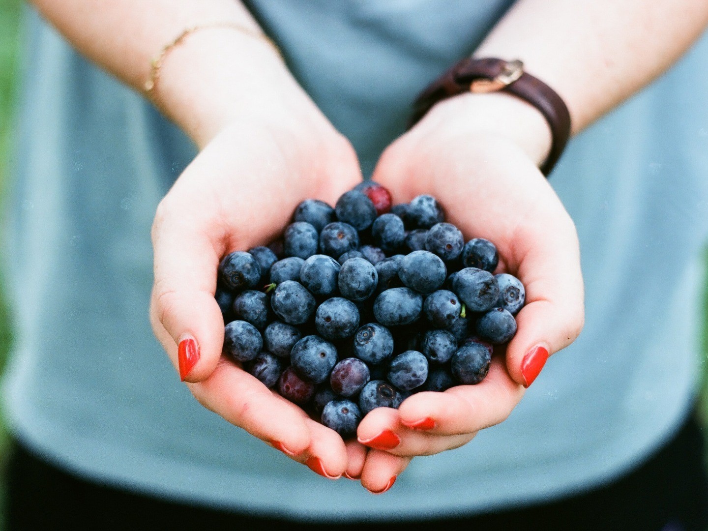 Heidelbeeren