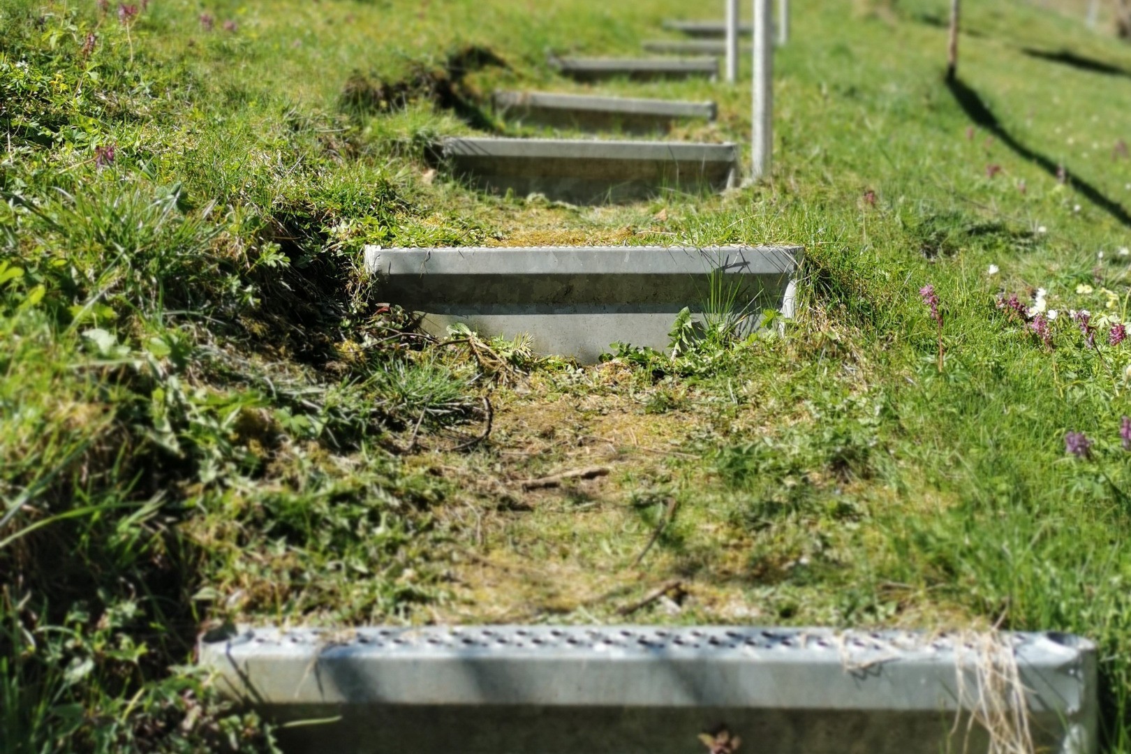 Alpineisen - Wiese als Trittfläche