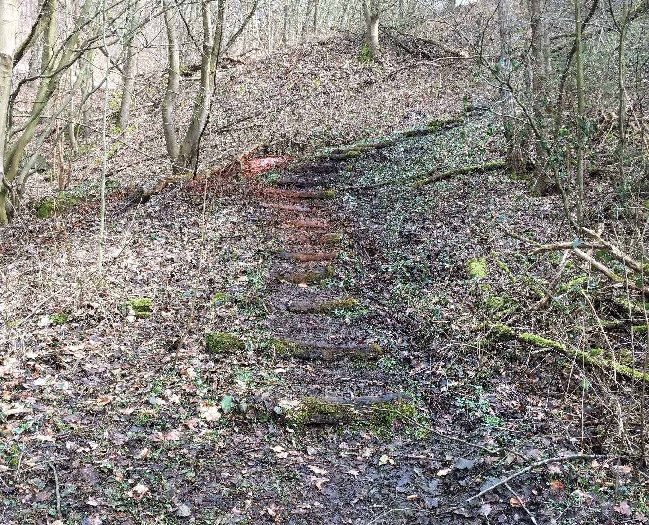 vermoderte Stufen aus Holz