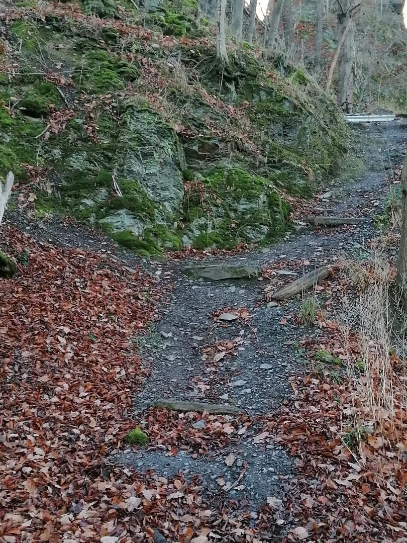 Wilhelmsblick vor der Sanierung durch Alpineisen