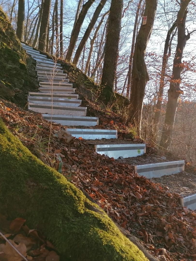 Alpineisen-Steinbock