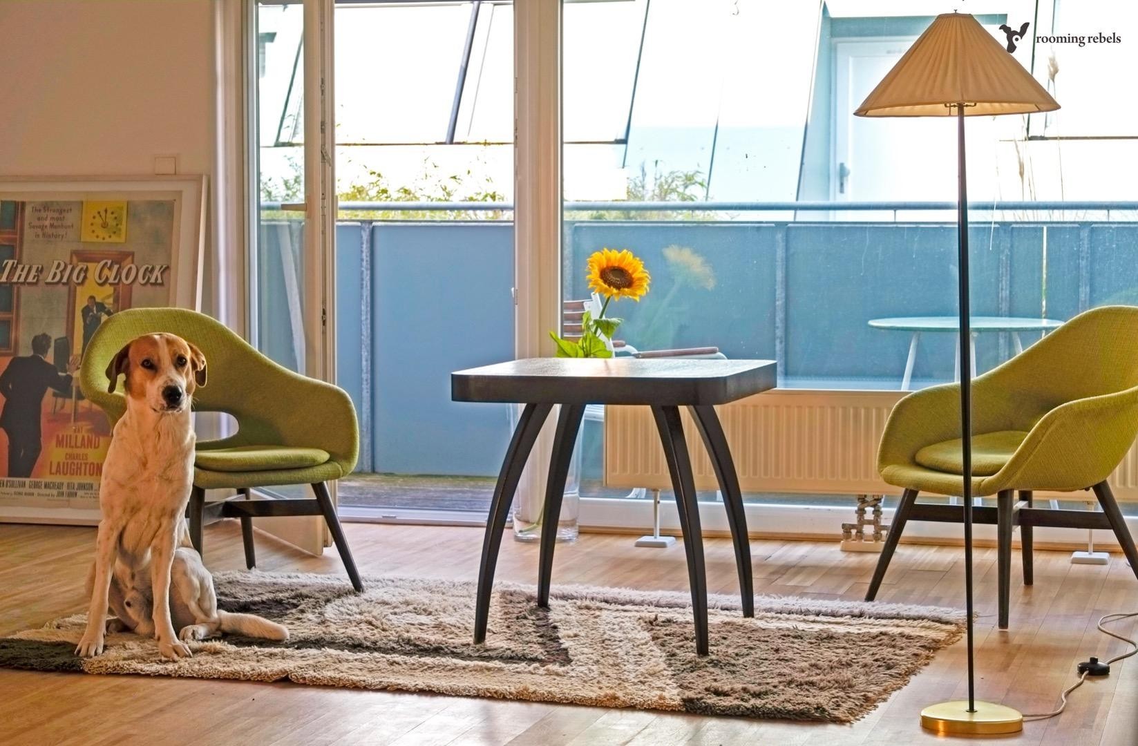 DU MÖCHTEST KAUFEN ODER MIETEN?