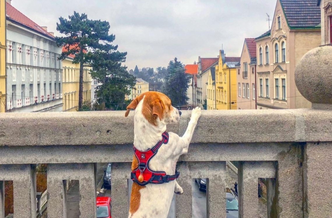 Du möchtest kaufen oder mieten?