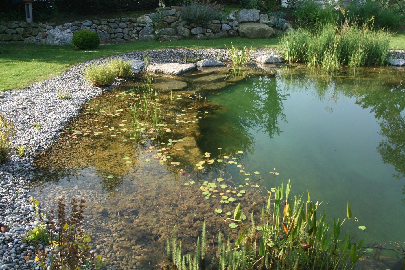 Schwimmteich mit OISkim