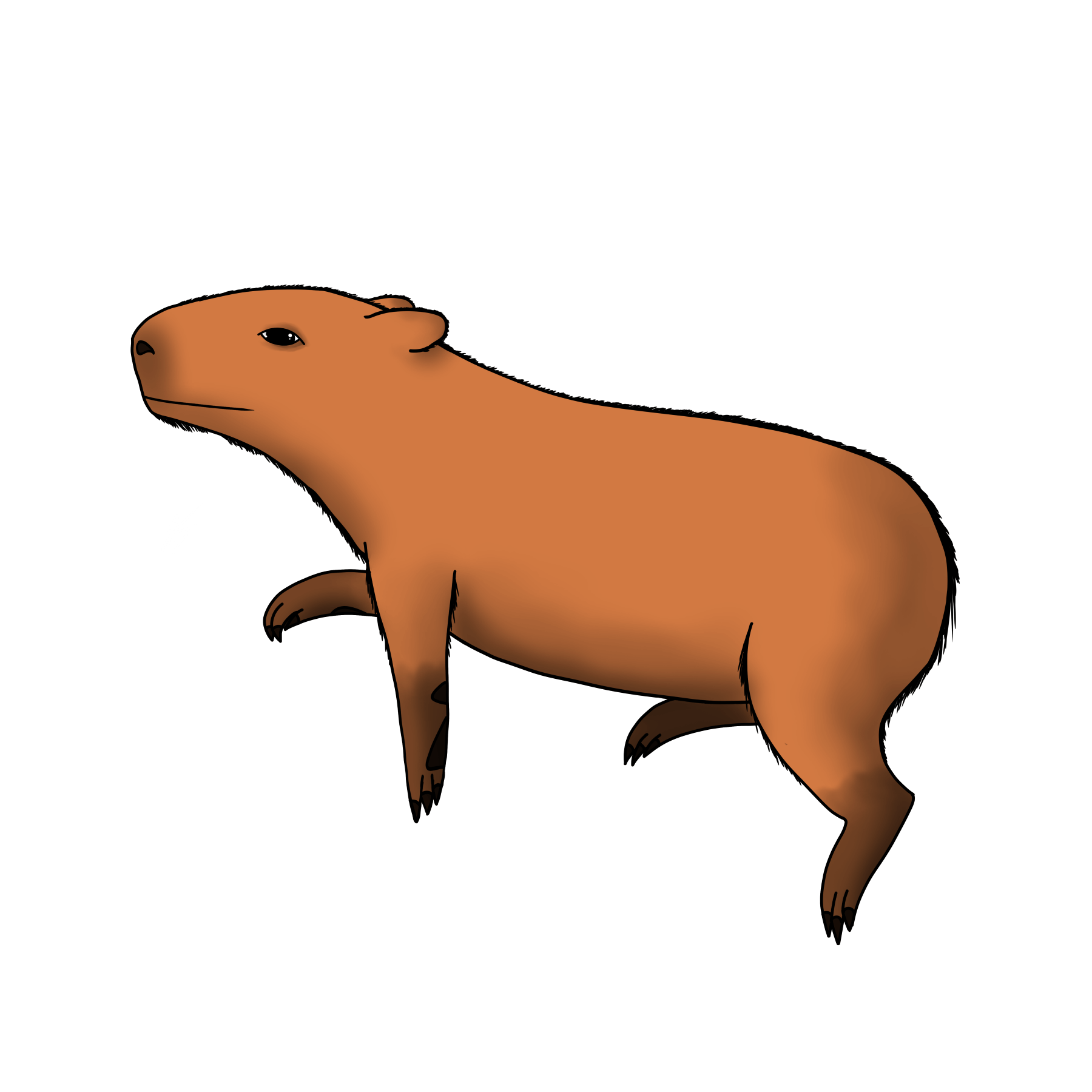 Capybara