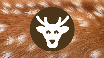Wildfelle gerben auf Pelz