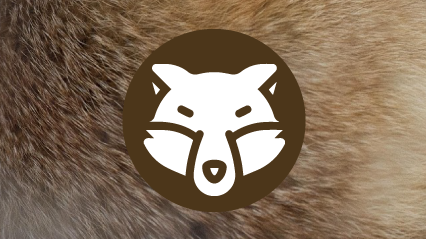 Raubwildfelle gerben auf Pelz