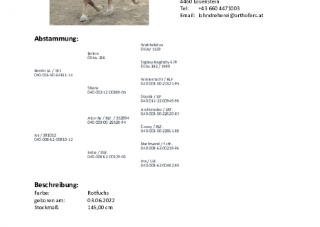 Ilvy_260425.pdf