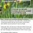 Flyer Natur_20250623.pdf