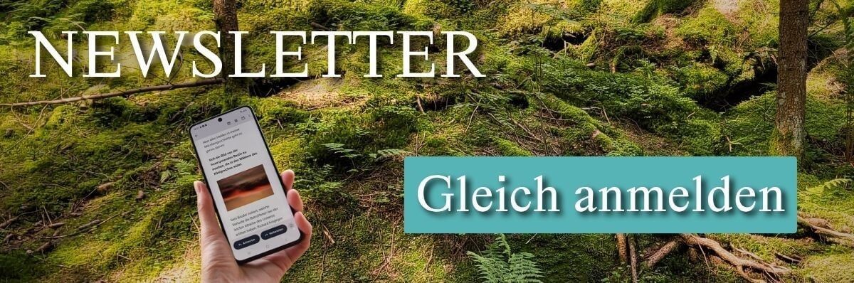 newsletter-anmeldung