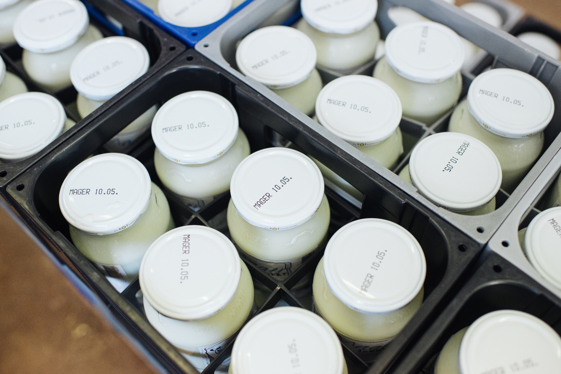 Familie Halbmayr-13.jpg