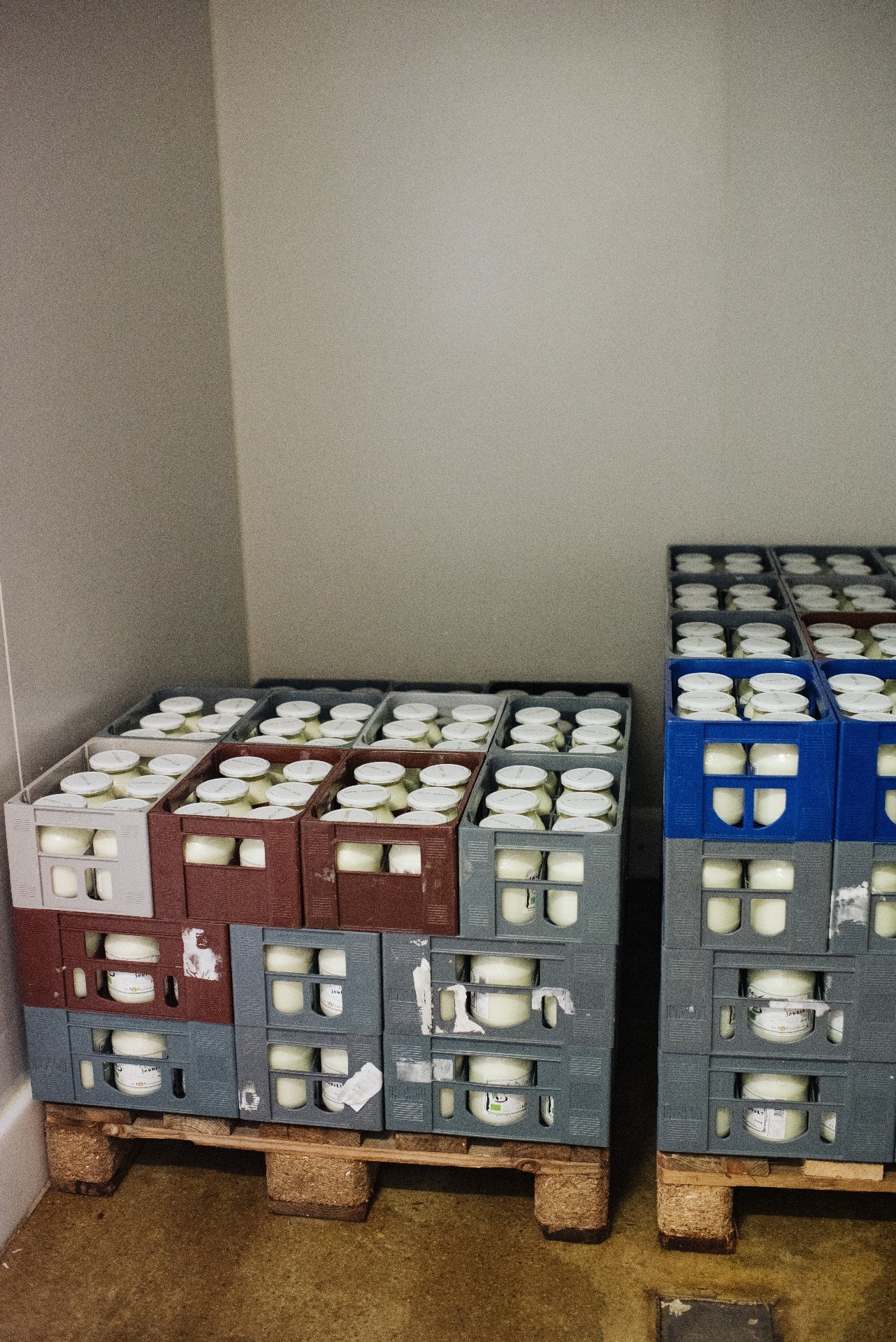 Familie Halbmayr-14.jpg