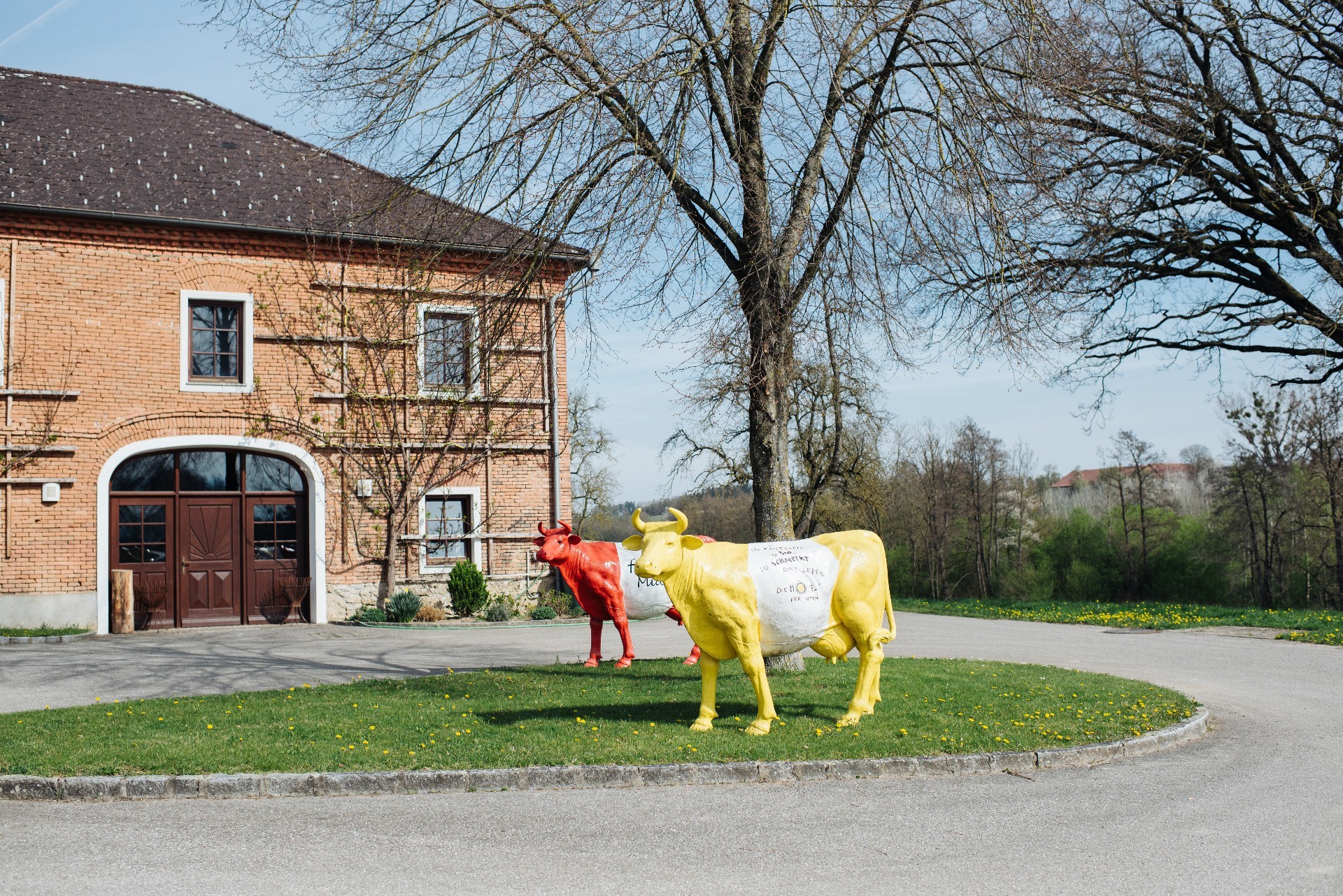 Familie Halbmayr-24.jpg