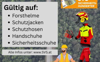 Sichere dir den SVS Sicherheits-Hunderter.png