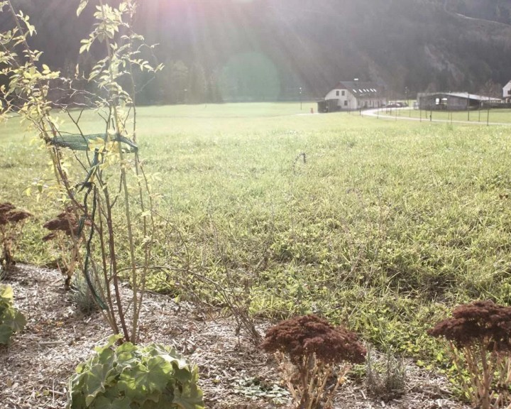 naturnahe Bepflanzung Sträucher Stauden Landwirschaftliche Fachschule Hohenlehen
