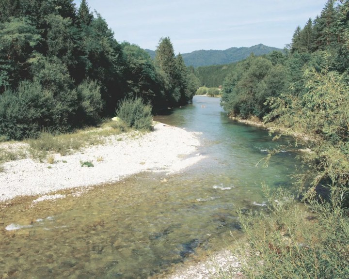 Ybbstralradweg Ybbs Wasser Fluss