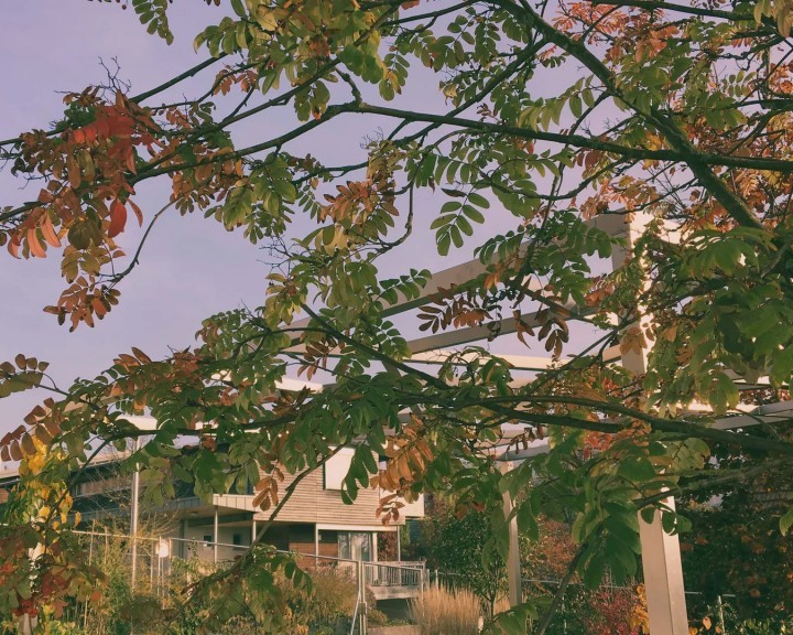 Gehölze Garten V privat