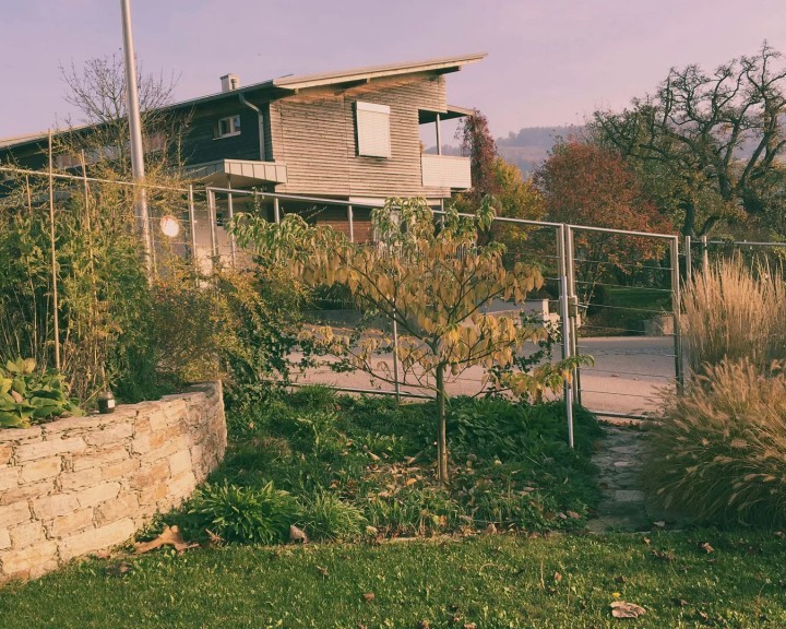 Sichtschutz Sträucher Zaun Garten V privat