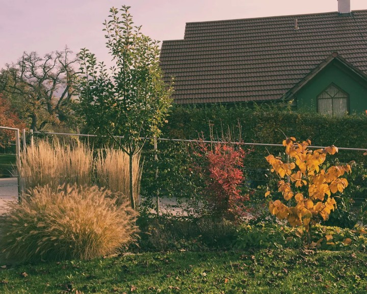 Gehölze Sichtschutz Zaun Garten V privat