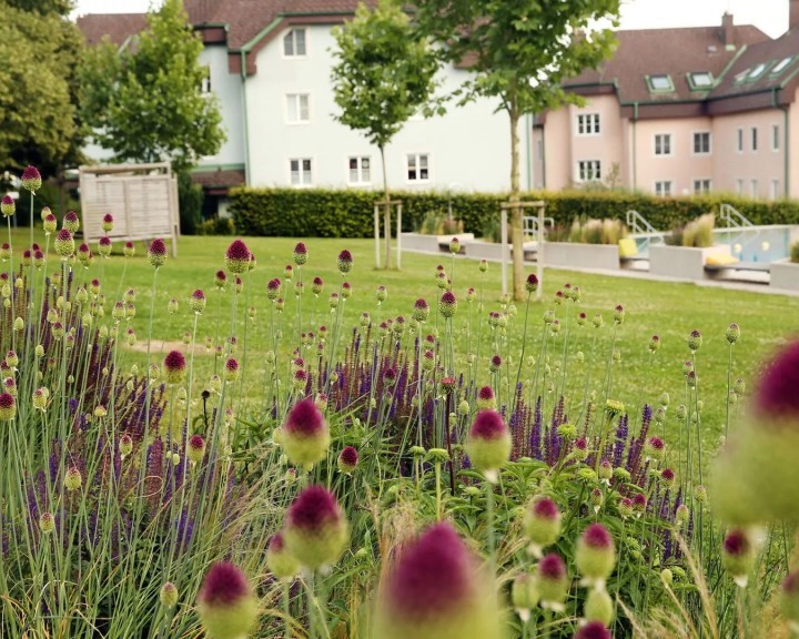 Stauden Freibad Aschbach