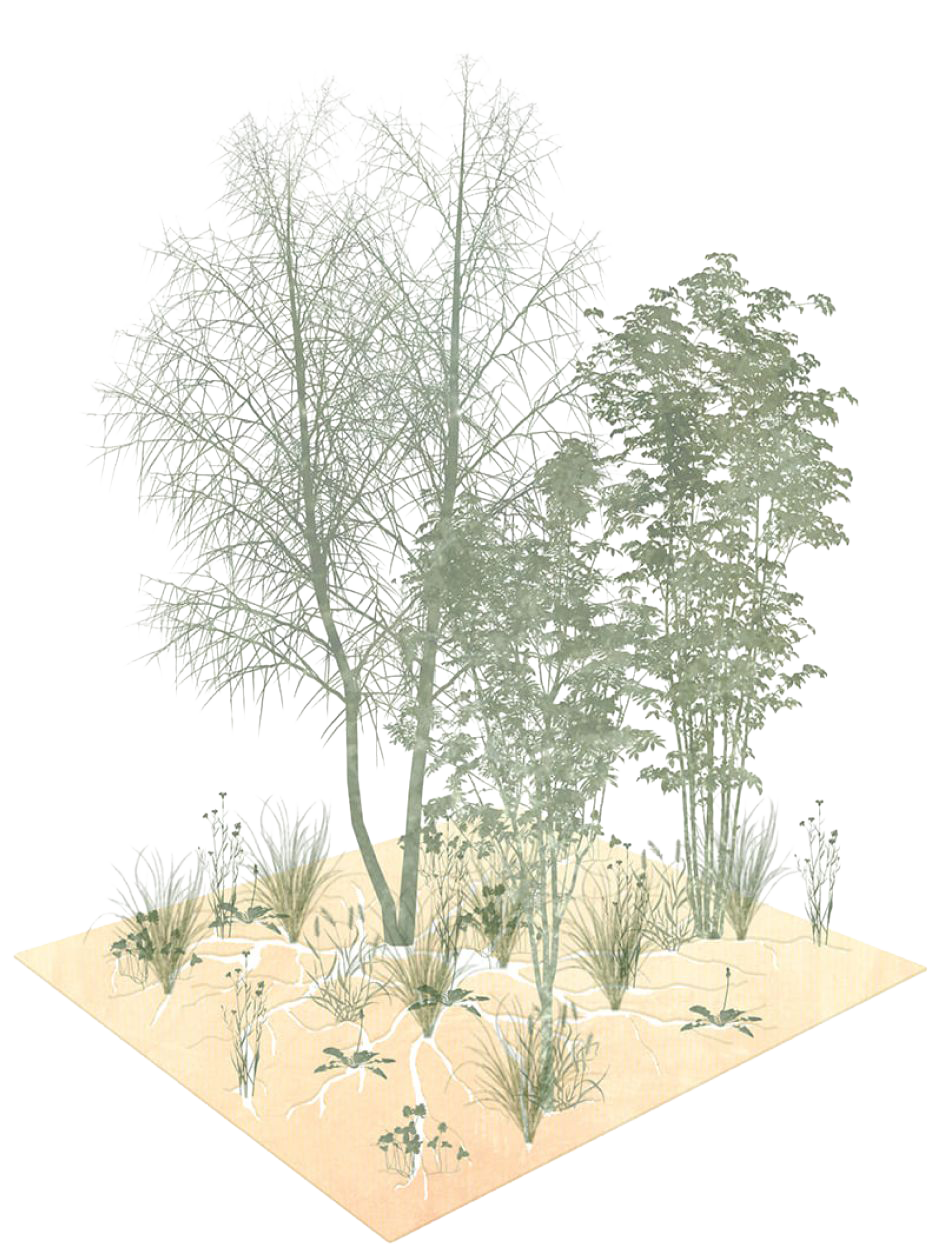 Konzeptzeichnung von einem Baum