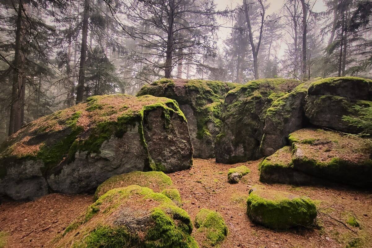 Ein mystischer Platz im Wald einer Fantasywelt