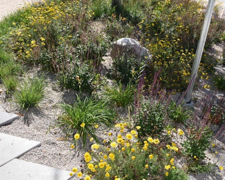 Staudenkombination Lunz am See