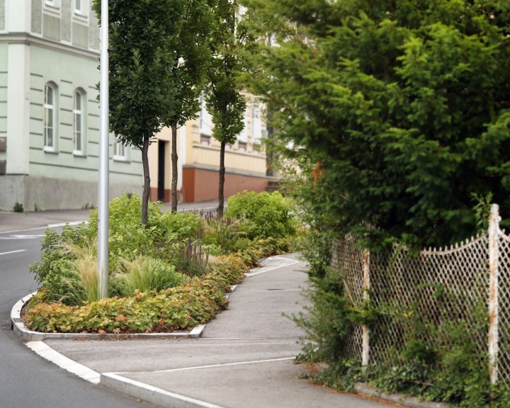 Straßenbegleitgrün Aschbach Markt