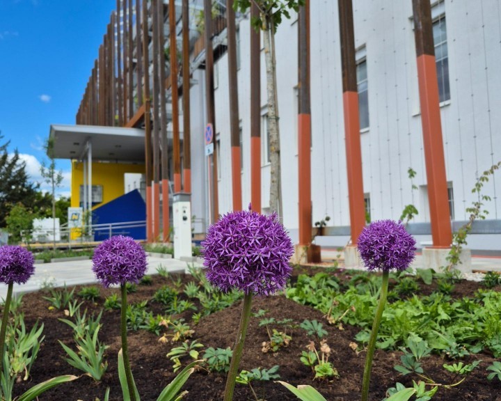 Südfassade BH Neunkirchen