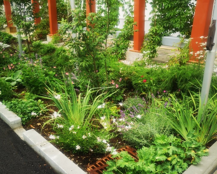 Sickerbeete Schwammstadteinleitung BH Neunkirchen