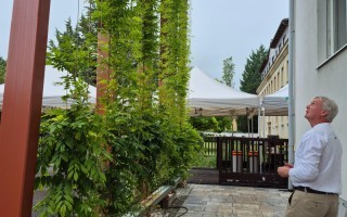 Alois Graf Wartungsgang grüne Fassade BH Neunkirchen