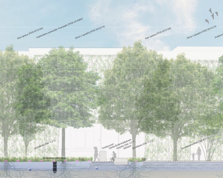 Schnitt BH Neunkichen Straßenbäume Straßenbegleitgrün