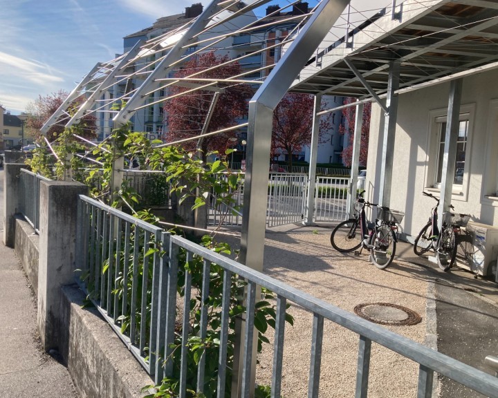 Rankgerüst Rankseile Kletterpflanzen IKW Amstetten