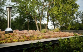 Extensive Dachbegrünung privat Garten G