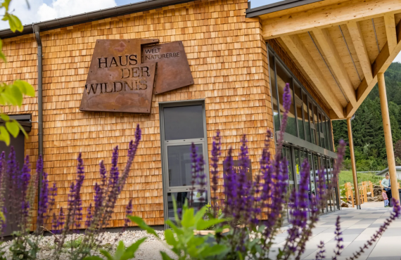 Haus der Wildnis Eingang Weltkulturerbezentrum Lunz am See