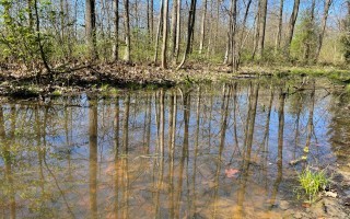 Foto Lebensräume Wasser möglicher Standort ASZ Amstetten