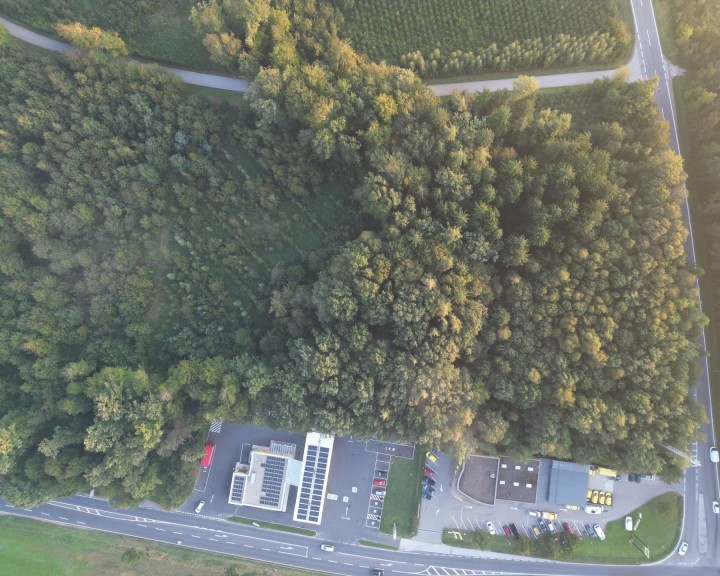Luftbild Wald möglicher Standort ASZ Amstetten