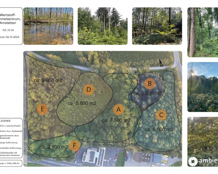 Gutachten Lageplan Wertstoffsammelzentrum Amstetten