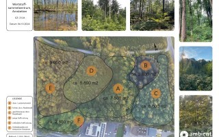 Gutachten Lageplan Wertstoffsammelzentrum Amstetten