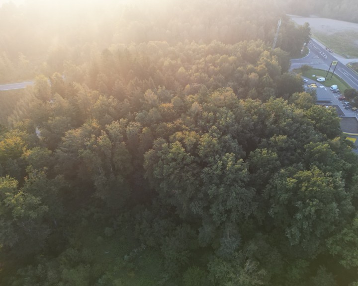 Luftbild Wald möglicher Standort ASZ Amstetten