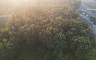 Luftbild Wald möglicher Standort ASZ Amstetten