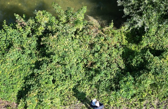 Luftbild Standort Gutachten Parkplatzerweiterung Haag