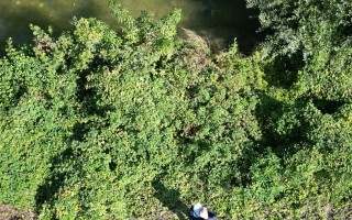 Luftbild Standort Gutachten Parkplatzerweiterung Haag