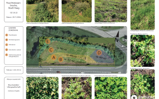 Lageplan Standort Gutachten Parkplatzerweiterung Haag