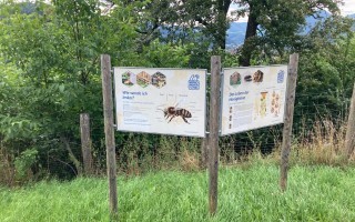 Lehrtafel Bienenweg Lehrpfad Waidhofen an der Ybbs