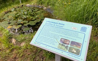 Lehrtafel Wasser Biotop Bienenweg Lehrpfad Waidhofen an der Ybbs